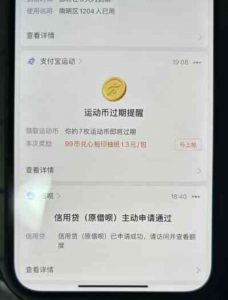 外面卖288的支付宝借呗开通教程，仅揭秘具体真实性自测-观玄源码