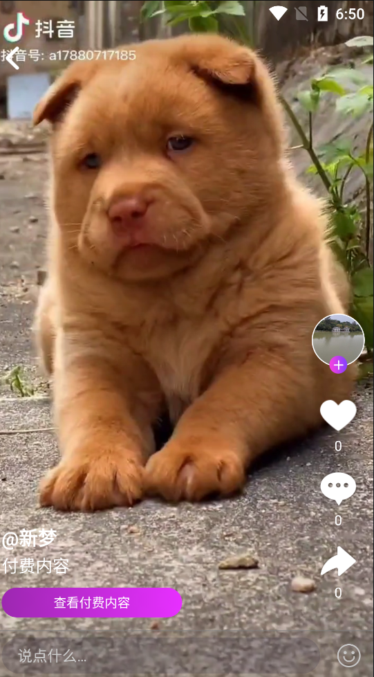 20240528132615963-image